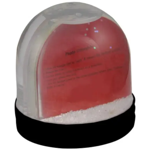 Picture Snow Globe Back